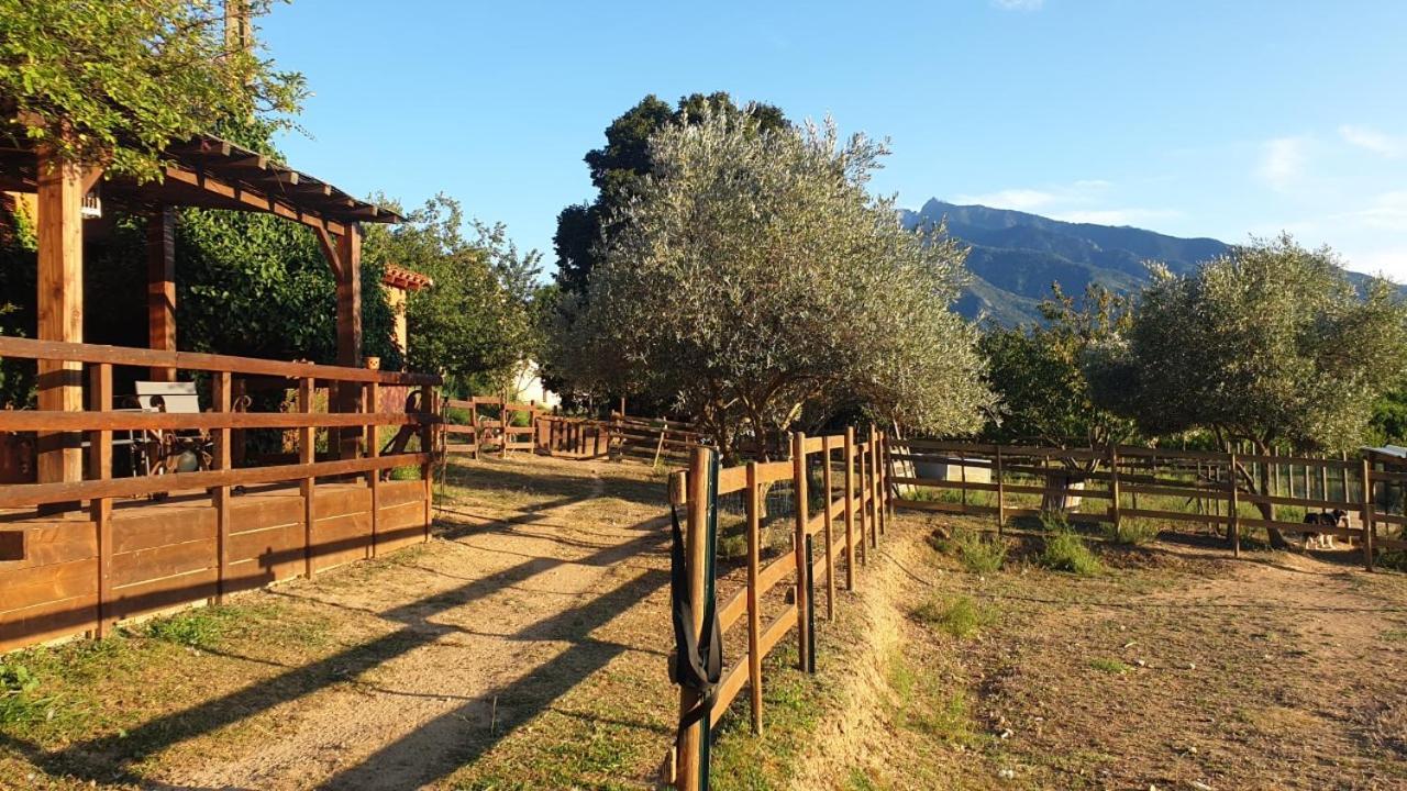 Chambre D'Hotes Le Petit Ranch Los Masos Esterno foto