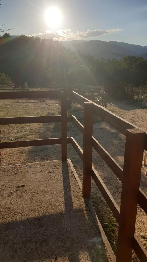 Chambre D'Hotes Le Petit Ranch Los Masos Esterno foto